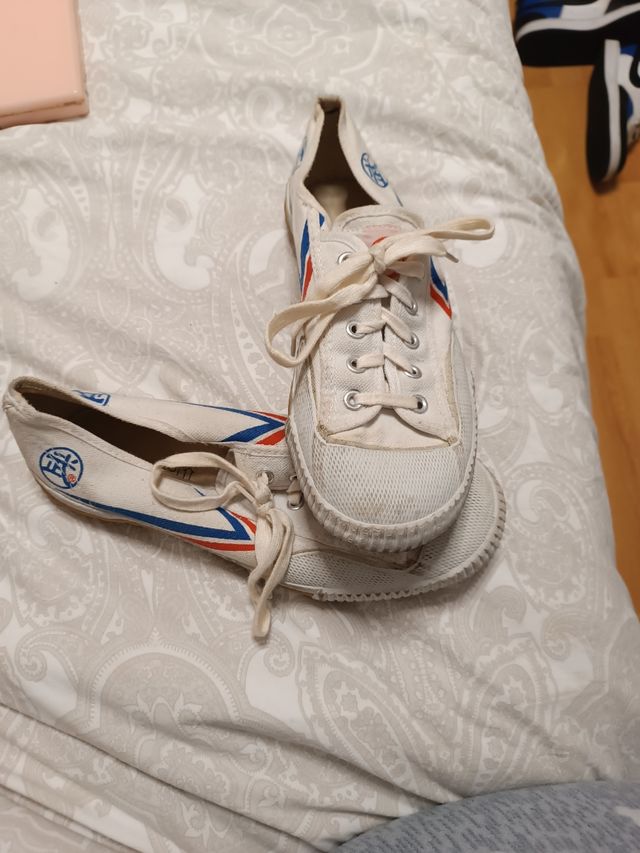 Zapatillas Wushu/Tai-chi talla 41