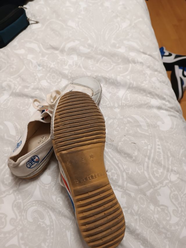 Zapatillas Wushu/Tai-chi talla 41