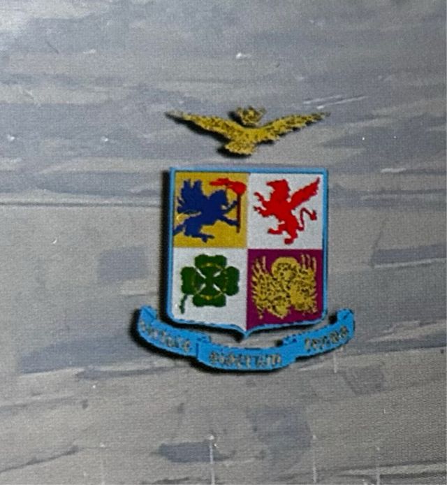 Poster Aereonautica militare 100th anniversary