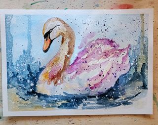 Acquerello cigno 