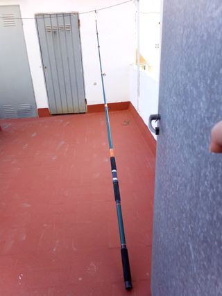 Caña de pescar