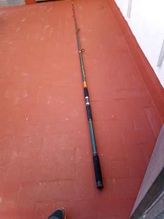 Caña de pescar