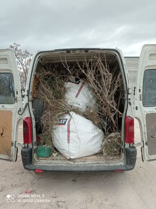 Limpiezas de poda y jardin