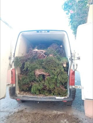 Limpiezas de poda y jardin