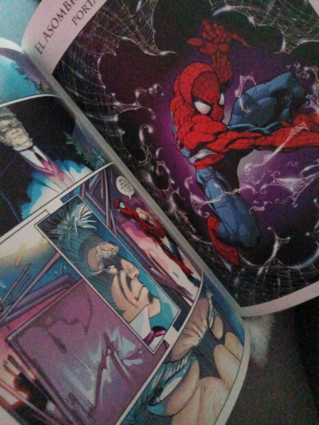 Spider-man, volviendo a casa