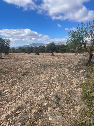 Terreno en venta