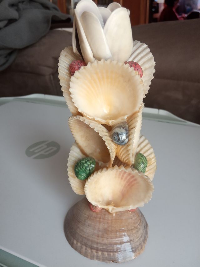 Adorno de conchas