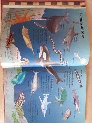 Libro Atlas Ilustrado de los Animales