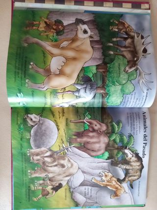 Libro Atlas Ilustrado de los Animales