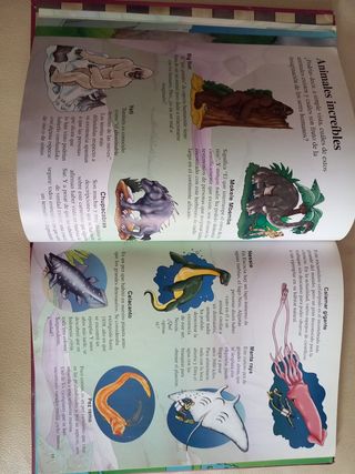 Libro Atlas Ilustrado de los Animales