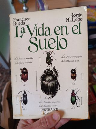 Libros lectura  niños