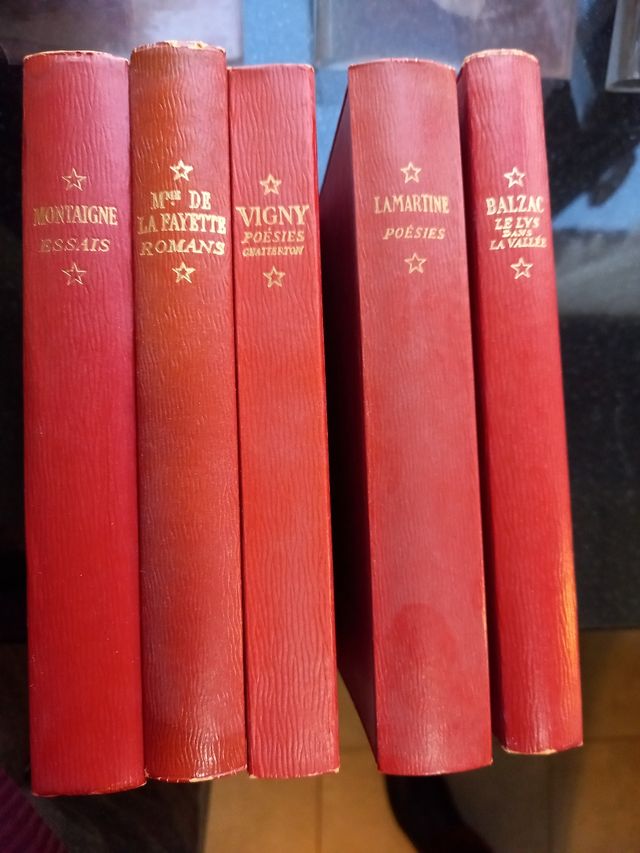 5 libros literatura clásica francesa. En frances