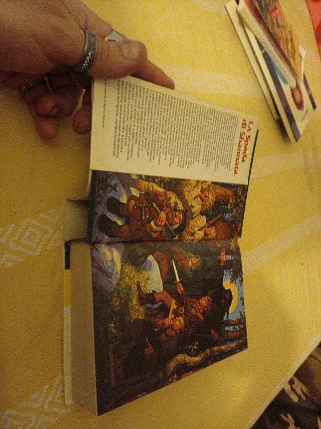 Libro romanzo "la spada di shannara"