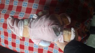 Ippopotamo di peluche