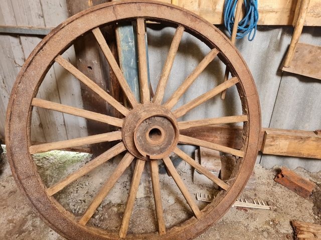 Rueda carro del pais