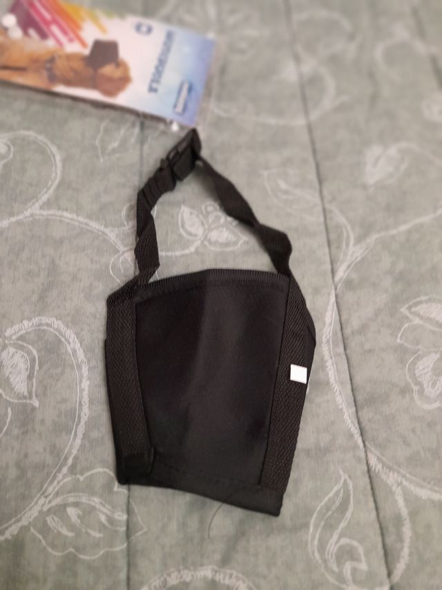 Guinzaglio e museruola