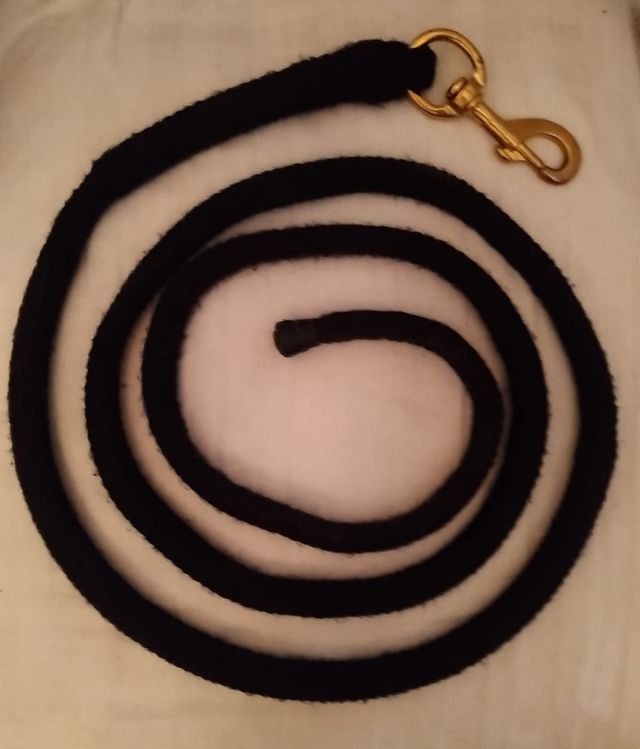 Ramal trenzado para caballos