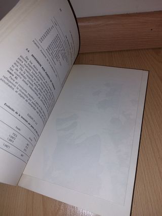 LIBRO - La industria valenciana, hoy - Año 1977