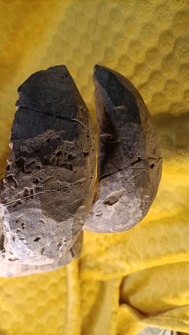 mascara africana dogon