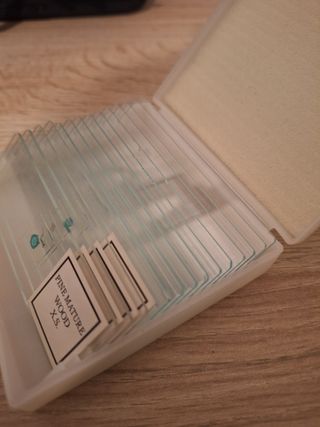 Microscopio Omegon