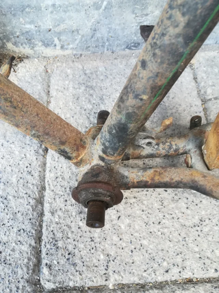 Orbea Mentor