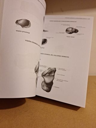 SOBOTTA MINI ESQUEMAS ANATOMÍA