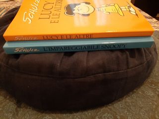 Volumi raccolta dei fumetti Peanuts