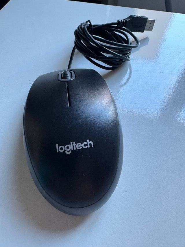 Raton logitech B100 negro de cable