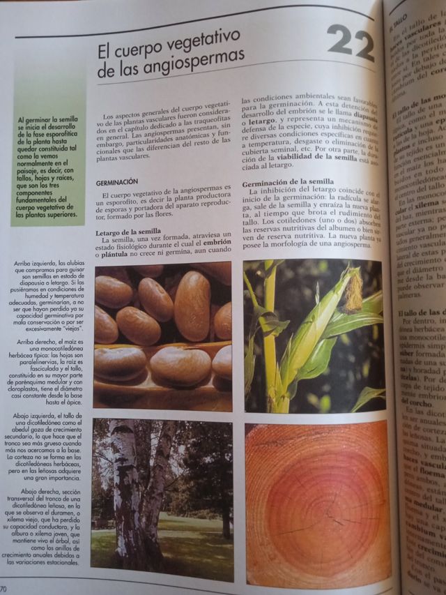 Libro atlas botanica