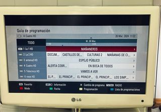 TV LG HD 19” blanco