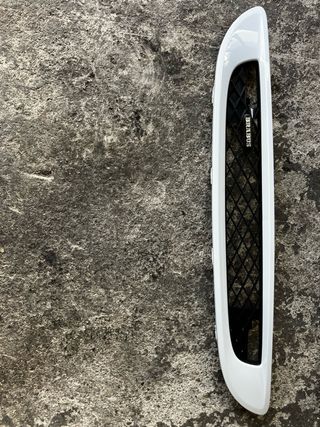 Mascherina anteriore smart brabus 451