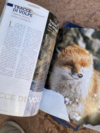 10 riviste delle Alpi