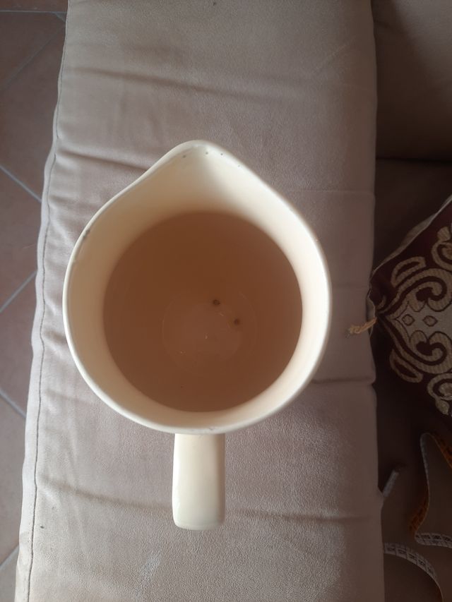 Brocca vintage Mulino Bianco