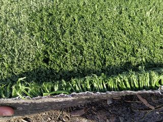 CESPED ARTIFICIAL RECICLADO