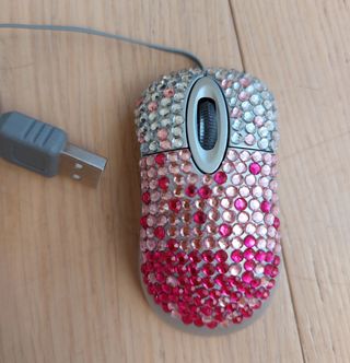 Mouse