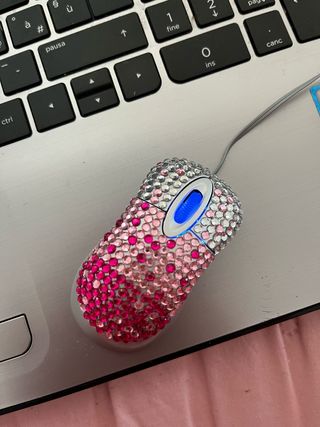 Mouse