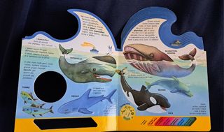 Guarda com'è il mare libro-gioco