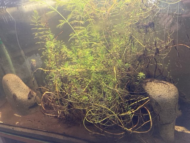 Acuario 400L
