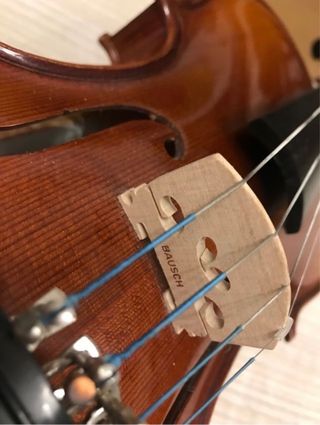 Violin 3/4 Marca Günter
