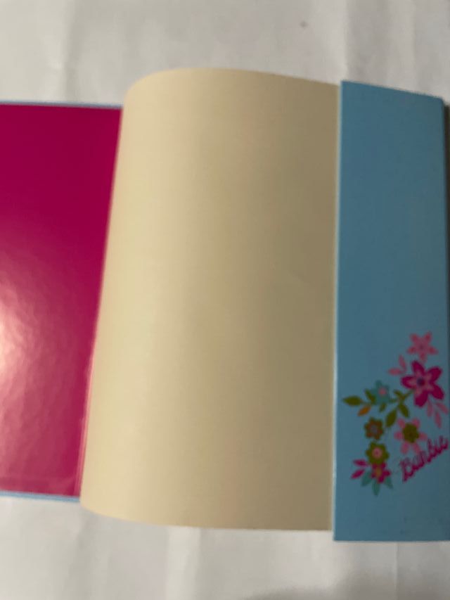 Carpeta clasificadora BARBIE con 12 departamentos