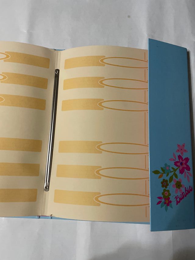Carpeta clasificadora BARBIE con 12 departamentos