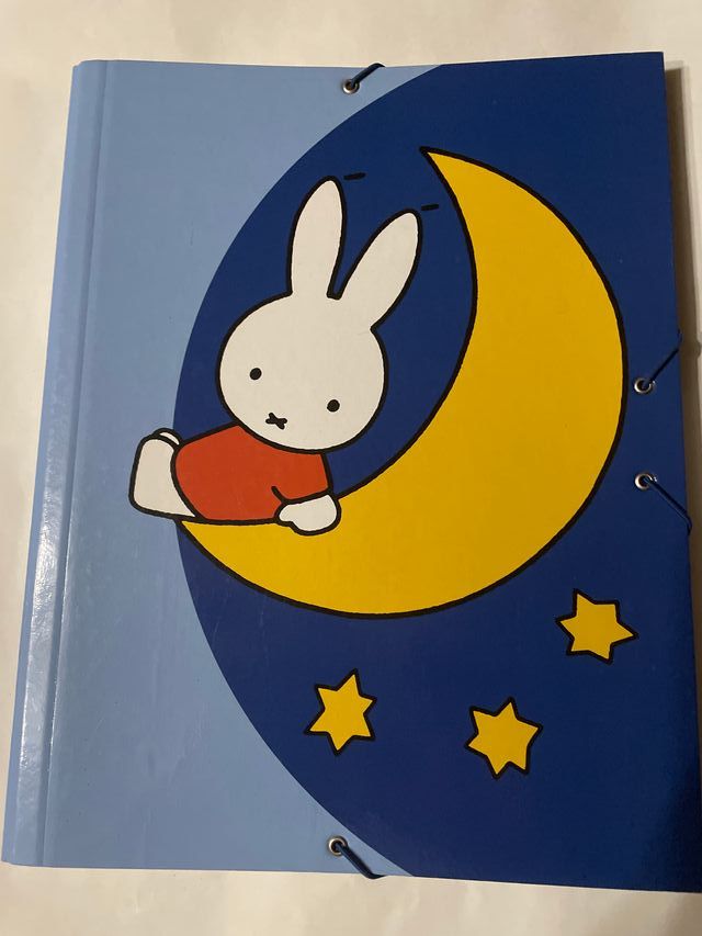 Carpeta clasificadora MUFFY con 12 departamentos