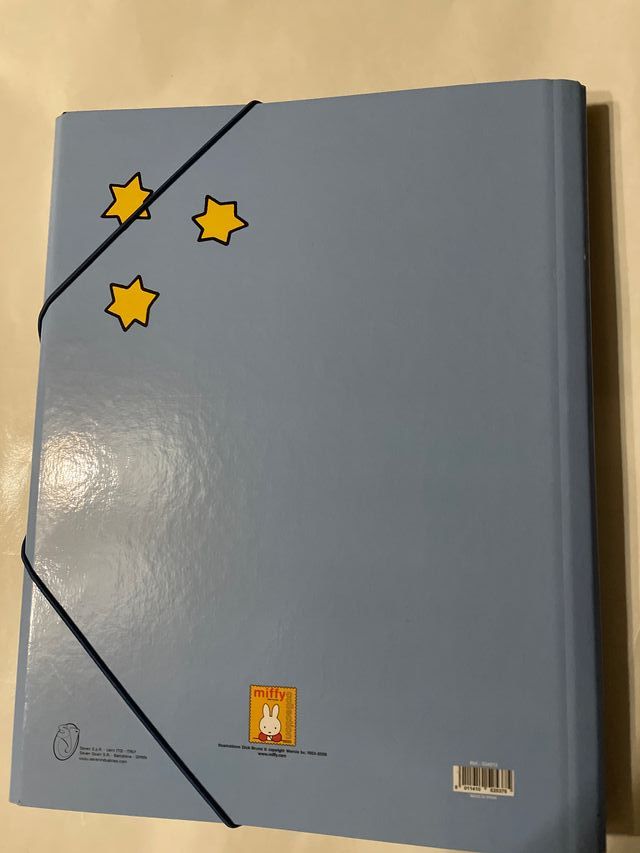 Carpeta clasificadora MUFFY con 12 departamentos