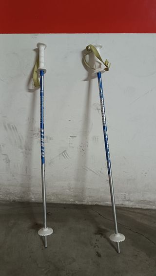 Bastones de esquí