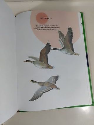 Libro infantil: 365 preguntas y respuestas