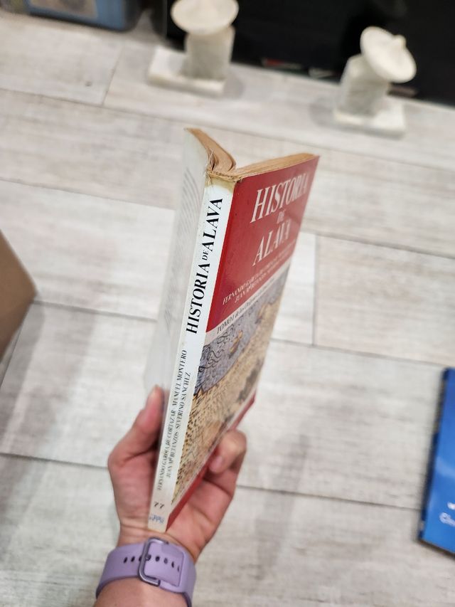 Historia de Álava García de cortazar tomó 1 época