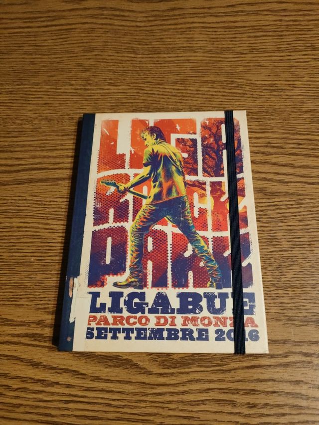 Ligabue urlando contro il cielo