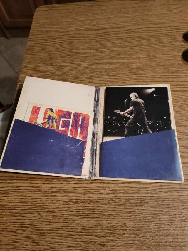 Ligabue urlando contro il cielo