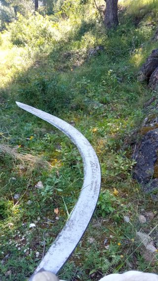 servicios de jardineria (tala,poda,riego...)