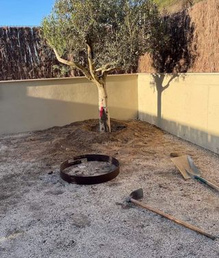 Césped artificial y servicio de jardinería